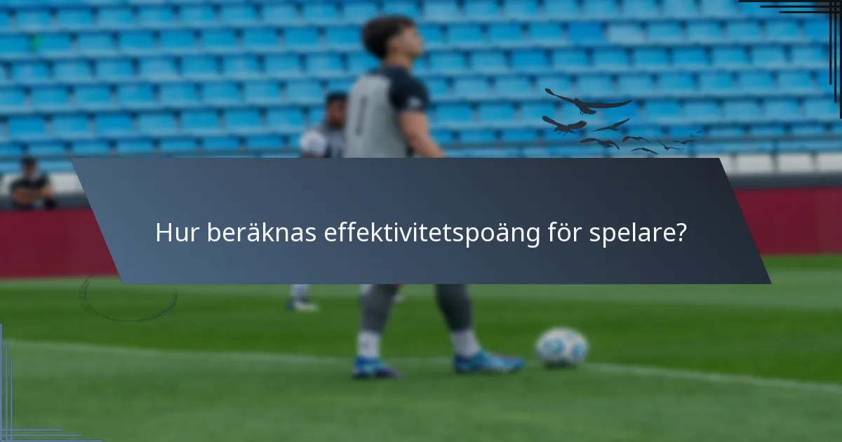 Hur beräknas effektivitetspoäng för spelare?