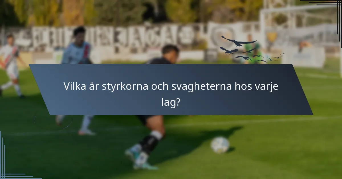 Vilka är styrkorna och svagheterna hos varje lag?